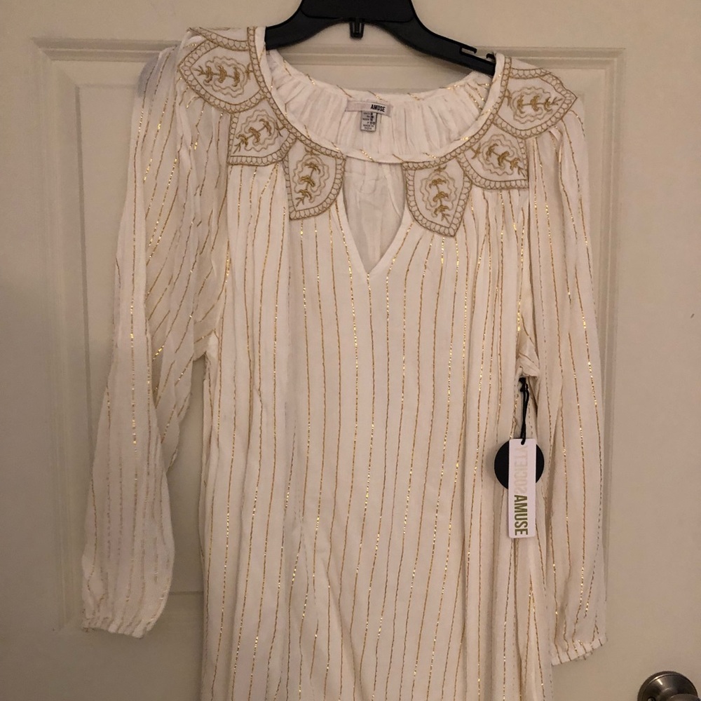 Amuse society Amira embroidered dress